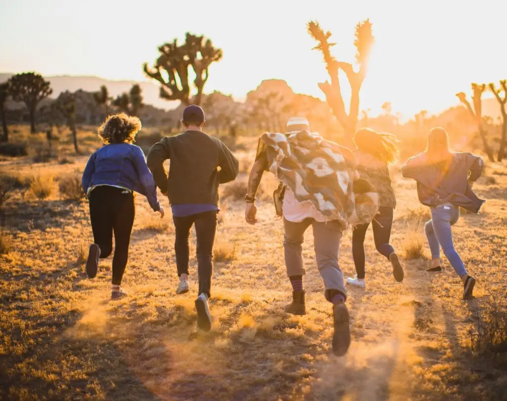 group retreats of magic mushrooms